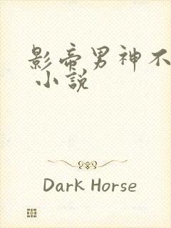 影帝男神不节制 小说