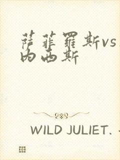 萨菲罗斯vs杰内西斯