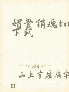 媚骨销魂txt下载