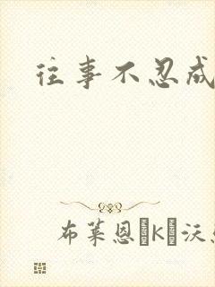 往事不忍成历史