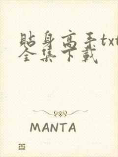 贴身高手txt全集下载