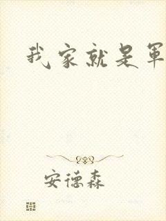 我家就是军火铺