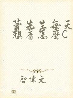 萧先生每天都在想着怎么C