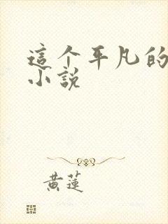 这个平凡的男子小说