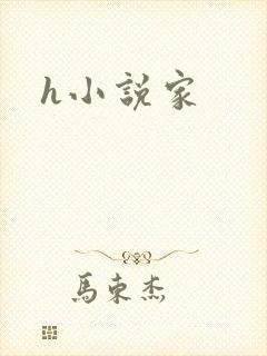 h小说家