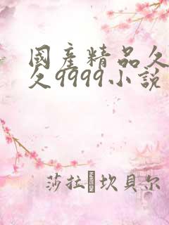 国产精品久久久久9999小说