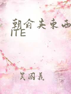 朝俞夹东西WRITE