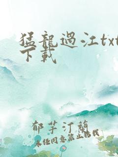 猛龙过江txt下载