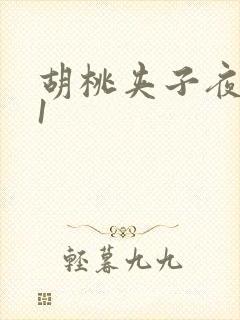 胡桃夹子夜未眠1