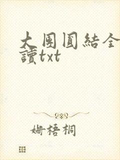 大团圆结全文阅读txt