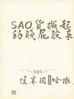 SAO货撅起你的贱屁股来