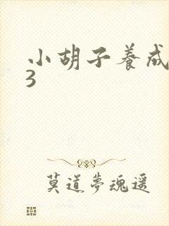 小胡子养成计划3