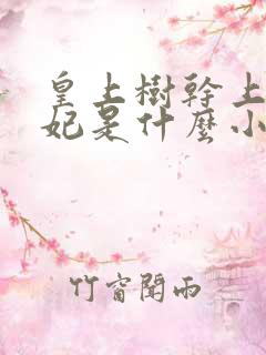 皇上树干上太子妃是什么小说