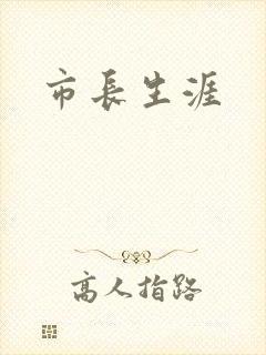 市长生涯