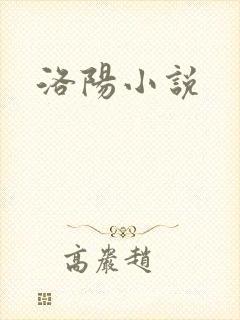 洛阳小说
