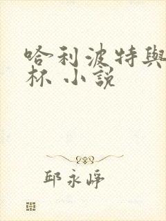 哈利波特与火焰杯 小说