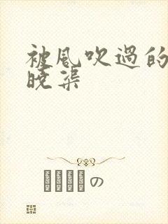 被风吹过的夏天晓渠