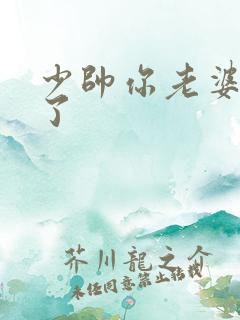 少帅你老婆又跑了