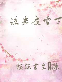 流光夜雪下载