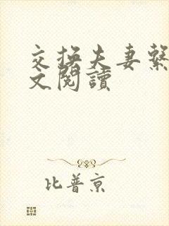 交换夫妻系列全文阅读