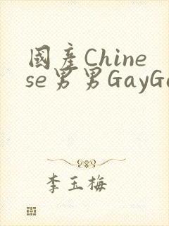 国产Chinese男男GayGayAPP