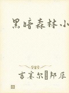黑暗森林小说