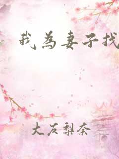 我为妻子找男妓