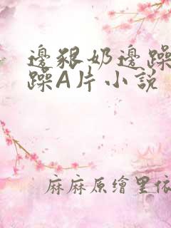 边啃奶边躁狠狠躁A片小说