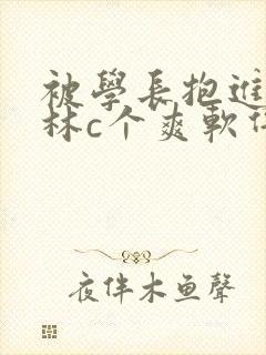 被学长抱进小树林c个爽软件