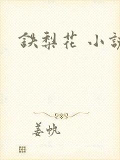 铁梨花 小说