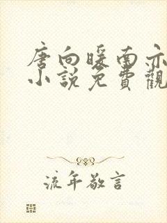 唐向暖南亦琛的小说免费观看