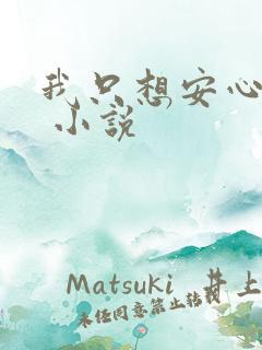 我只想安心修仙 小说