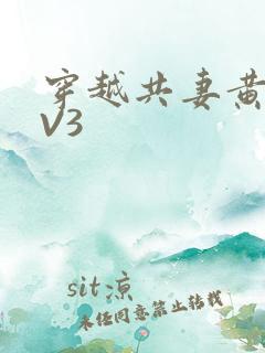 穿越共妻黄暴1V3