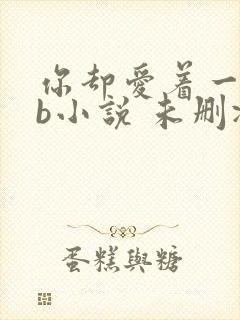 你却爱着一个sb小说 未删减完整版百度云