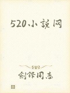 520小说网