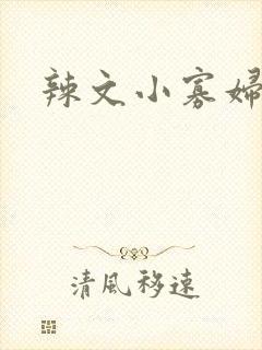 辣文小寡妇