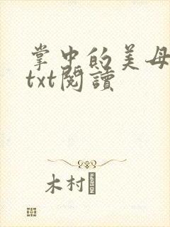 掌中的美母版主txt阅读