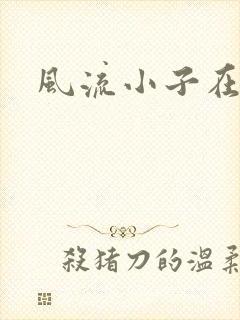 风流小子在异世