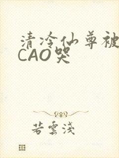清冷仙尊被强制CAO哭