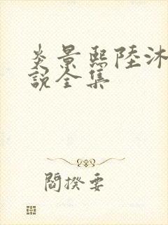 炎景熙陆沐擎小说全集