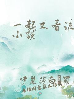 一起又看流星雨小说