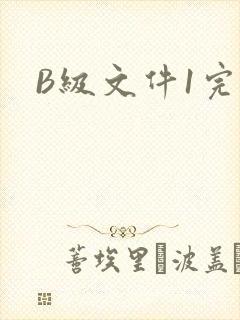B级文件1完整