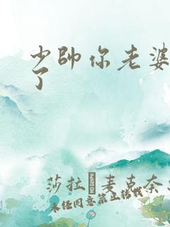 少帅你老婆又跑了