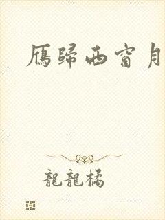 雁归西窗月小说