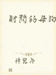财阀的母狗们