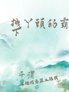 拽丫头的霸道殿下