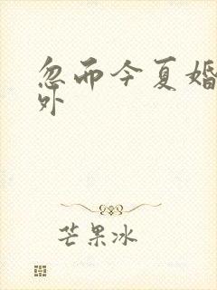 忽而今夏婚后番外