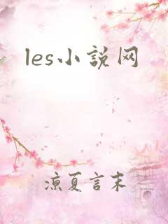 les小说网