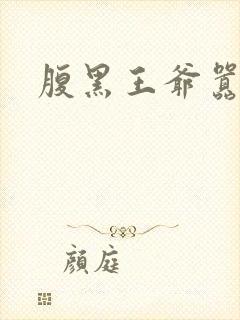 腹黑王爷嚣张妻