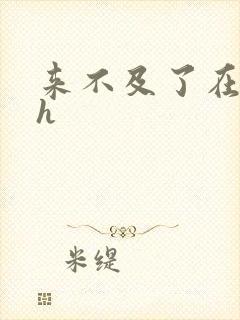 来不及了在车ch